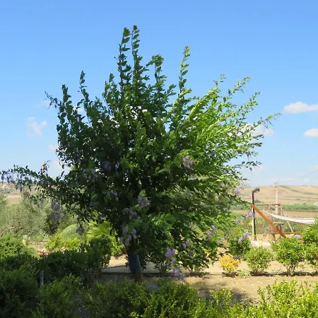 Barrera * Porto Palo