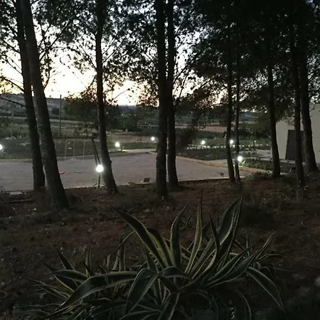Barrera Porto Palo
