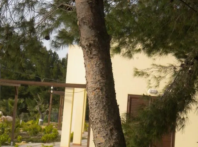 Barrera * Porto Palo